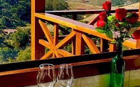 Terra De vereda nas montanhas de Gonçalves mg